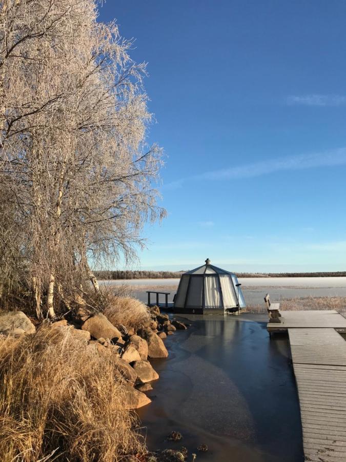 Vikajaervi View Experience Igloos